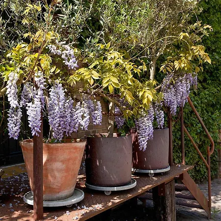 Rapunzel - Gemuetliche Mit Landhausstil Und Ueberdachtem Balkon